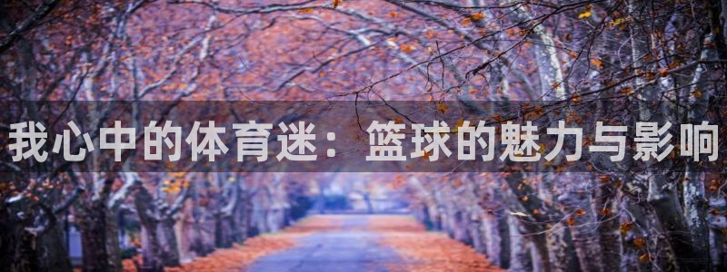 千亿国际官方正版app娱乐平台：我心中的体育迷：篮球