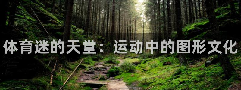 千亿国际官网下载平台假的吗是真的吗吗：体育迷的天堂：