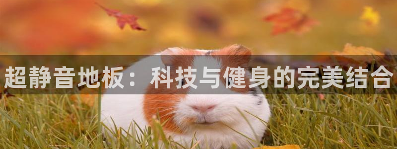 千亿国际官网下载招商电话地址查询：超静音地板：科技与