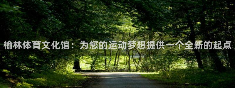 千亿国际官网下载平台假的吗是真的吗：榆林体育文化馆：
