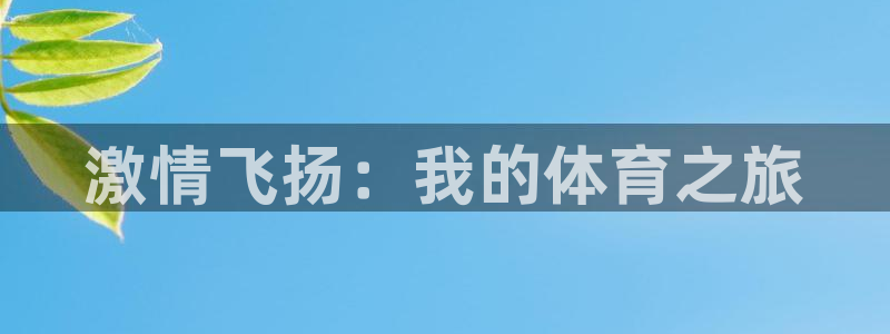 千亿国际官网下载官方客服电话：激情飞扬：我的体育之旅