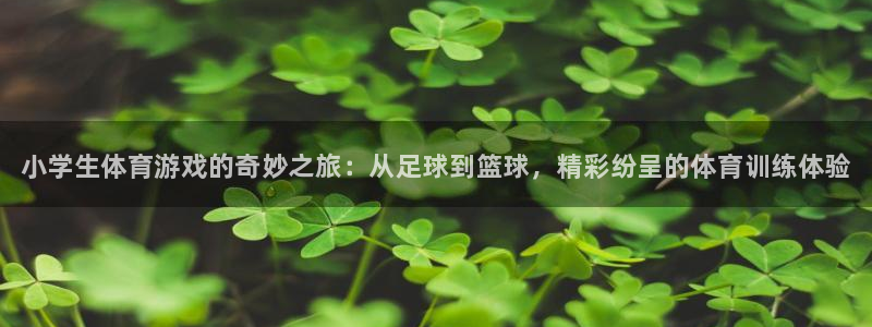 千亿国际官网下载平台注册要钱吗：小学生体育游戏的奇妙之旅：从