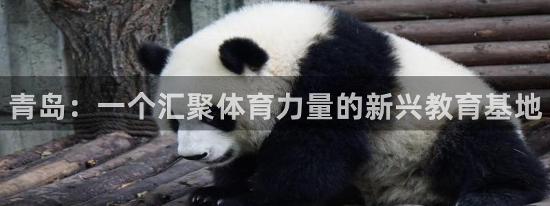 德国千亿国际官方正版app集团：青岛：一个汇聚体育力