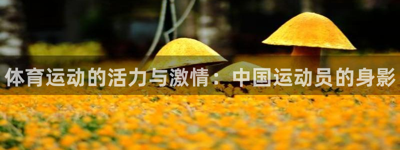 千亿国际官网下载软件：体育运动的活力与激情：中国运动