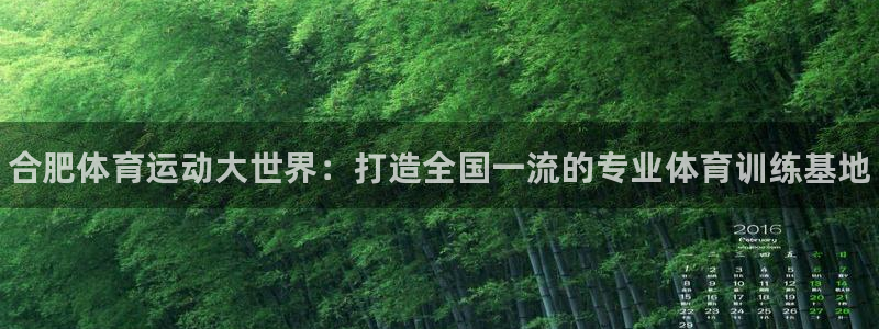千亿国际官网下载平台注册流程视频：合肥体育运动大世界