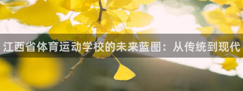 千亿国际官网下载招商电话：江西省体育运动学校的未来蓝