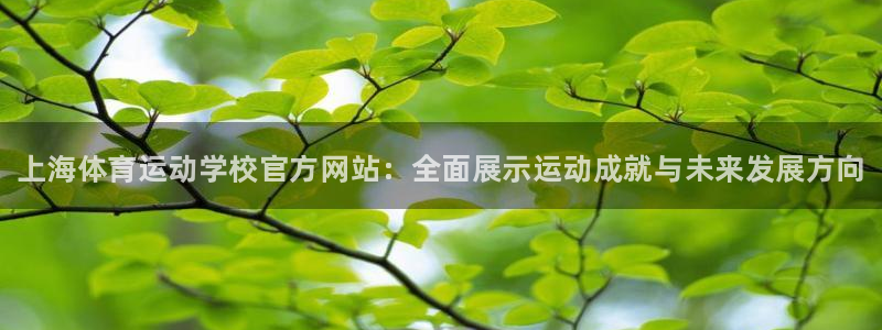 千亿国际官方正版app娱乐下载：上海体育运动学校官方