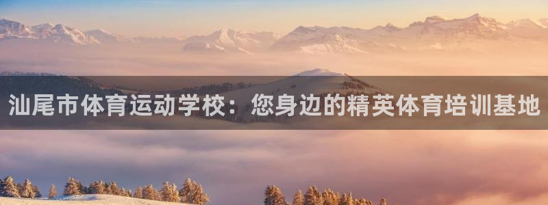 千亿国际官方正版app集团简介：汕尾市体育运动学校：
