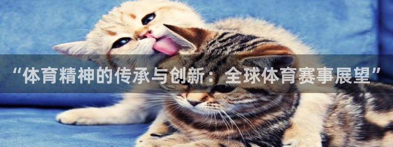 千亿国际官方正版app五金厂