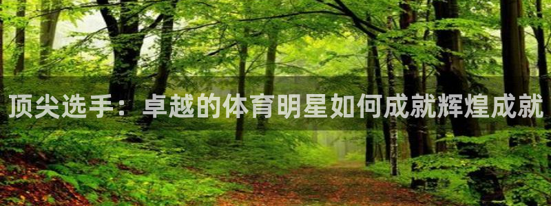 海南千亿国际官网下载：顶尖选手：卓越的体育明星如何成