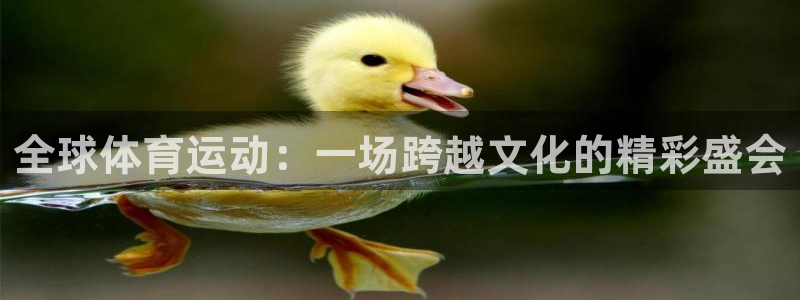 千亿国际官方正版app五金厂：全球体育运动：一场跨越