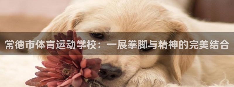 千亿国际官方正版app开户：常德市体育运动学校：一展