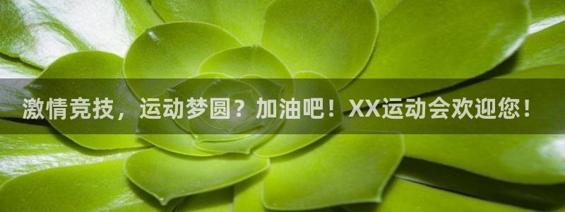 千亿国际官方正版app集团：激情竞技，运动梦圆？加油
