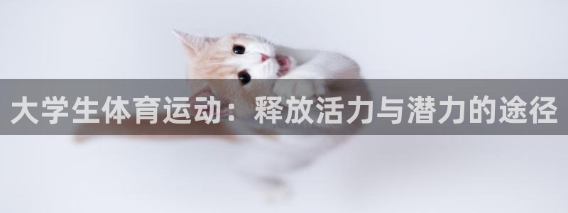 千亿国际官网下载招商电话是多少：大学生体育运动：释放