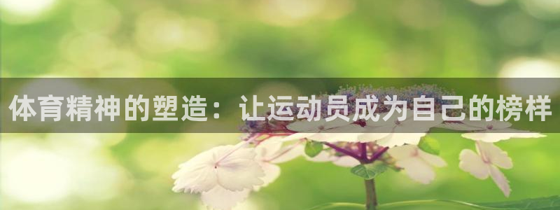 千亿国际官网下载招商电话号码是多少：体育精神的塑造：
