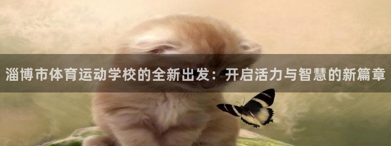 千亿国际官方正版app科技：淄博市体育运动学校的全新